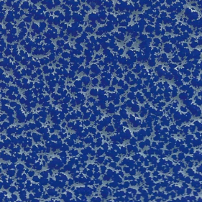 PE-GLOSSY BH2C90M015